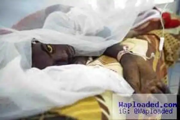 Yellow Fever Outbreak Hits Angola: Kills 37, Infects 191